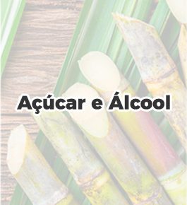 img-50-acucar-alcool